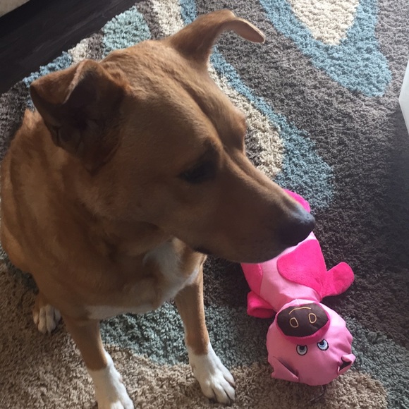 Meet your Posher, Sean - Picture 1 of 1